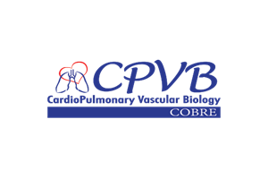 CPVB-COBRE Logo